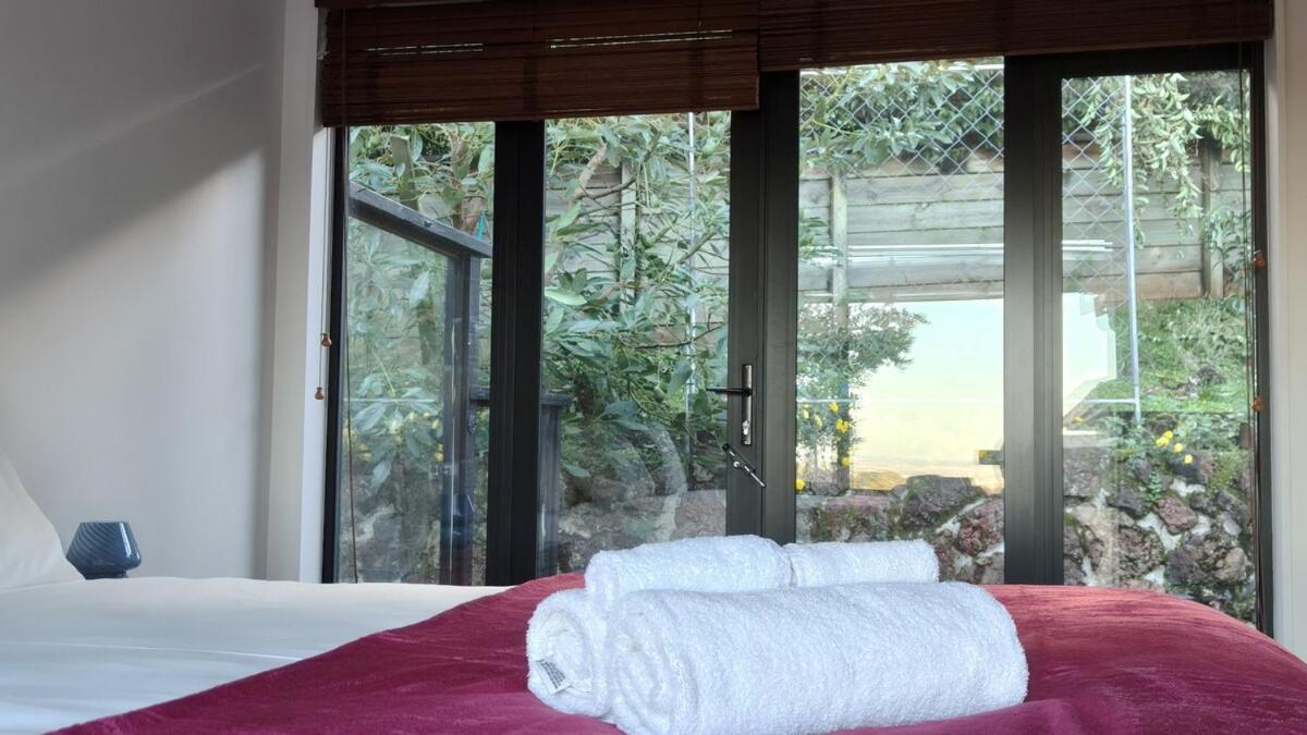 Hidden Oasis In Epsom With Panoramic View Villa Auckland Dış mekan fotoğraf